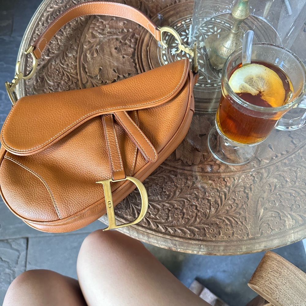Dior Lambskin Saddle Bag